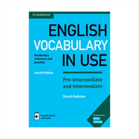  English Vocabulary In Use Pre Intermediate And Intermediate 